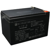 Akumulator 12V 10Ah