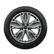 Zimski komplet koles Audi A5, Avant, A5 Limousine - 19 col (alu platišča) - 4 kosi