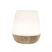 Stona ultrazvucna aroma lampa Home AD20