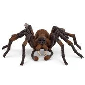 shumee Čarovniški svet Aragog