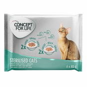 4x85g Concept for Life hrana za mačke, Kitten