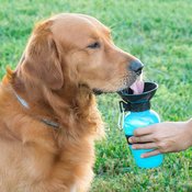 Flaša za vodo za pse