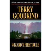 Wizards First Rule