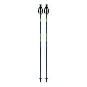 Fischer RC4 NOIZE, skijaški štapovi, plava Z30125