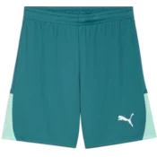 Puma Kratke hlače teamLIGA26