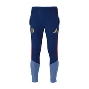 ADIDAS PERFORMANCE Športne hlače FC Bayern München 26/27  opal / temno modra / zlata / ognjeno rdeča