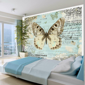 Foto tapeta - Postcard with butterfly 100x70