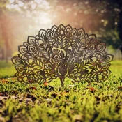 Aberto Design Dekorativna figura Peacock -A 01, 53x61 cm, 1.5 mm