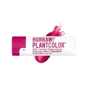 Hurraw! Plantcolor™ Lip Tint No. 2