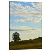 shumee Platno Narava Drevo na polju 40x60 cm Nebo Travnik Oblaki