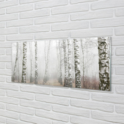 tulup.si Slika na akrilnem steklu Breza megla 140x70 cm 4 obešalnika