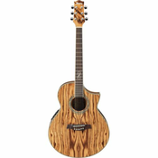 IBANEZ elektro akustična kitara EW20ZWE-NT