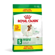 Royal Canin Pasja hrana Mini Adult - 8+1 kg