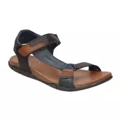 Kangaroos 115851 pisana