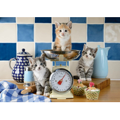 Schmidt - Puzzle Cats in the Kitchen - 500 kosov