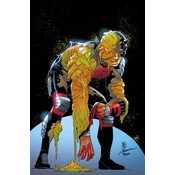 DAREDEVIL SALADIN AHMED V05