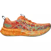 ASICS Tenisice za trčanje NOOSA TRI 16