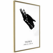 Poster - Zodiac: Taurus I 20x30