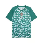 PUMA Portugal Warmup Jersey Men, Football, Green Lagoon/Ruby Shimmer, 3XL