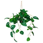 MID.YOU Umetna Rastlina Monstera Climb