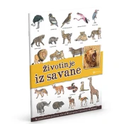 Panorama: životinje iz savane