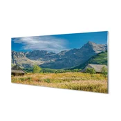 tulup.si Stenska plošča za kuhinjo Top vikend box 100x50 cm