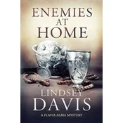 Enemies at Home