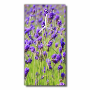tulup.si Steklena navpična ura Sivka barve rože 30x60 cm