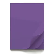 Papir šeleshamer b1 70x100 intenziv er
