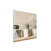 shumee Steklena zaščita za kuhalno ploščo 50x52 Cactus
