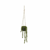 Umetna rastlina (višina 37 cm) Senecio – Casa Selección