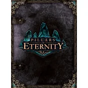 Pillars of Eternity (Hero Edition) Steam Key GLOBAL
