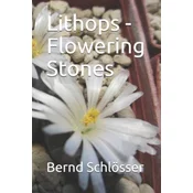 Lithops - Flowering Stones
