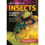 Field Guide to Insects of South Africa
