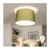 Brilagi - LED nadgradni luster CERIA 1xE27/40W/230V O 45 cm, zeleni