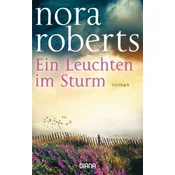 Ein Leuchten im Sturm