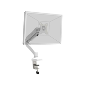Namizni nosilec PORT za monitor, do 32, max 8 kg, aluminj, bel
