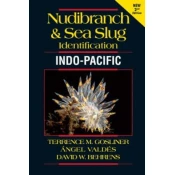 Nudibranch and Sea Slug Identification Indo-Pacific