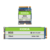 KIOXIA BG5 Client SSD 1TB M.2 2230 PCIe Gen4 NVMe Internal Solid State Modules