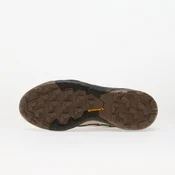 ADIDAS TERREX Niske cipele Skychaser cokolada / bež siva / svijetlosiva / crna