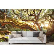 Wallity Tapete za zid MDK-00116, 100x100 cm, Šarena