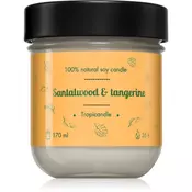 Tropicandle Santalwood & Tangerine dišeča sveča 170 ml