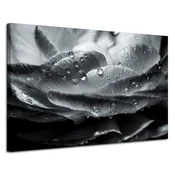 shumee Platno s sliko Cvet v kapljicah rose 120x80 cm