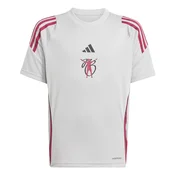 ADIDAS PERFORMANCE Funkcionalna majica Jude Bellingham siva/svetlo siva/burgund