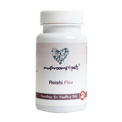 Reishi Flex (400 mg) 60 kom
