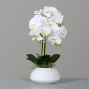 Umetna orhideja bela v belem lončku RT