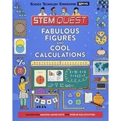 STEM Quest: Fabulous Figures and Cool Calculations