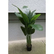 Lilium Banana 1x3 sa 12 listova, 165 cm,567386