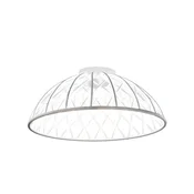 OPVIQ 3229 1 29 Cream luster