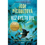 Kéž bys tu byl